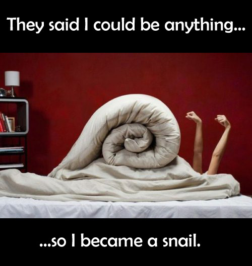 Bed Snail
