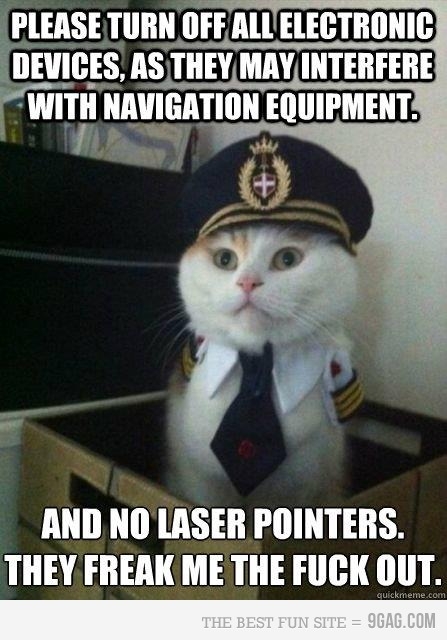 Captain Cat is ready to take off.