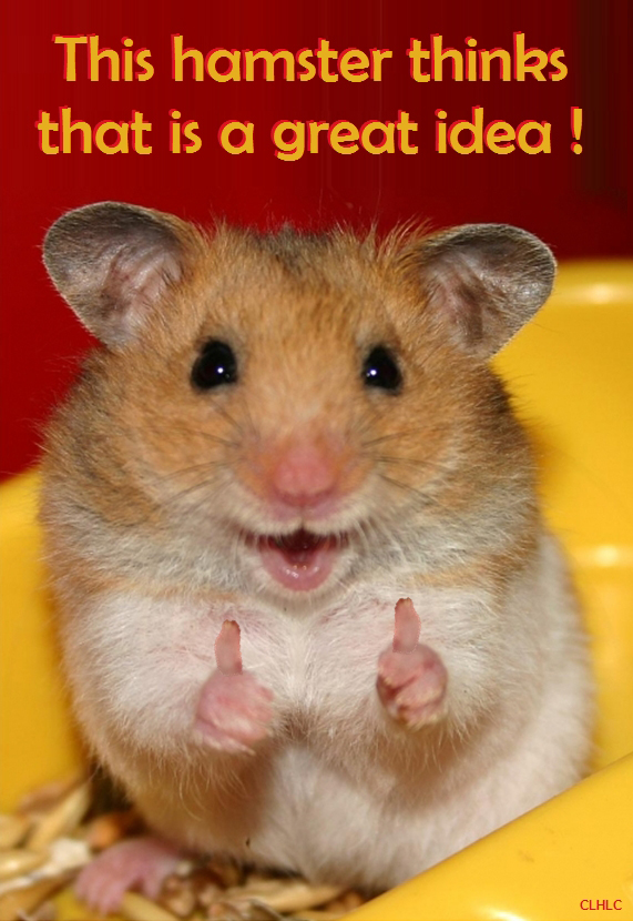 This hamster thinks this is a great idea!