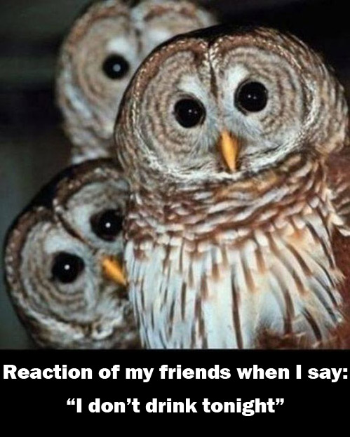 Reaktion meiner Freunde
