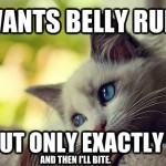 Do not challenge the kitty!