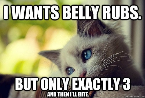 Do not challenge the kitty!