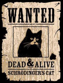 Wanted: Schroedingers Cat