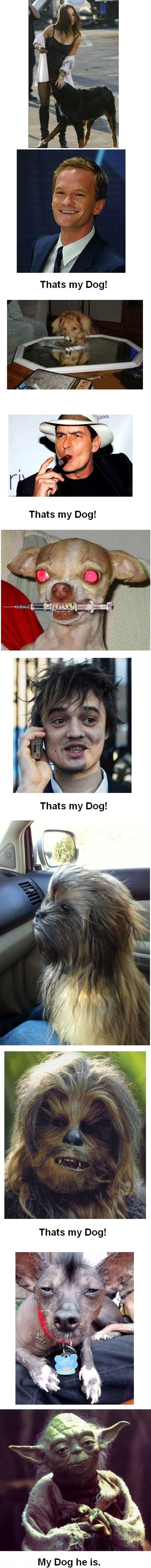 That's my dog